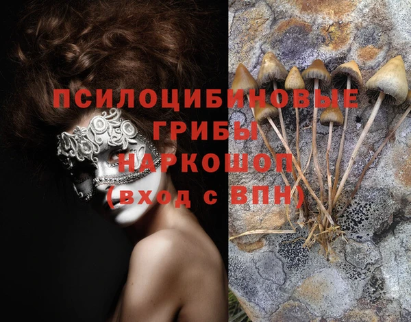 меф Дмитров