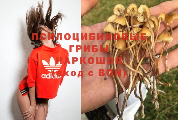 стаф Дмитровск