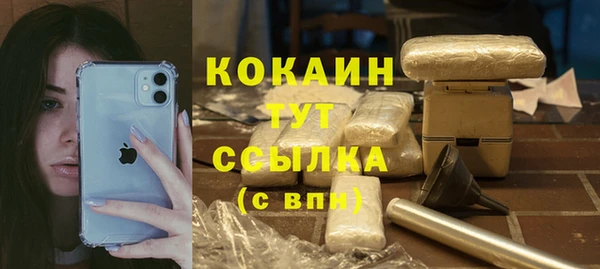 стаф Дмитровск