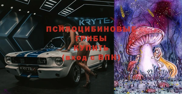 стаф Дмитровск