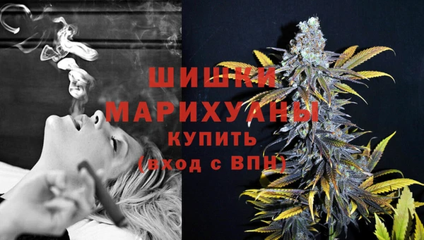 стаф Дмитровск