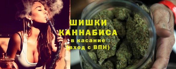 стаф Дмитровск