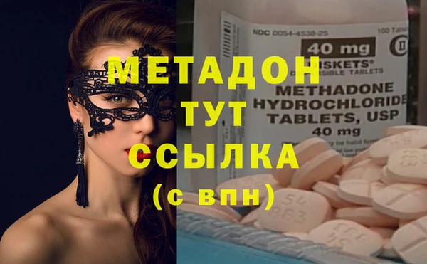 стаф Дмитровск
